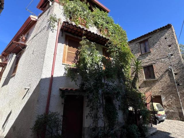 Villa Indipendente in vendita a Trenta, Calabria