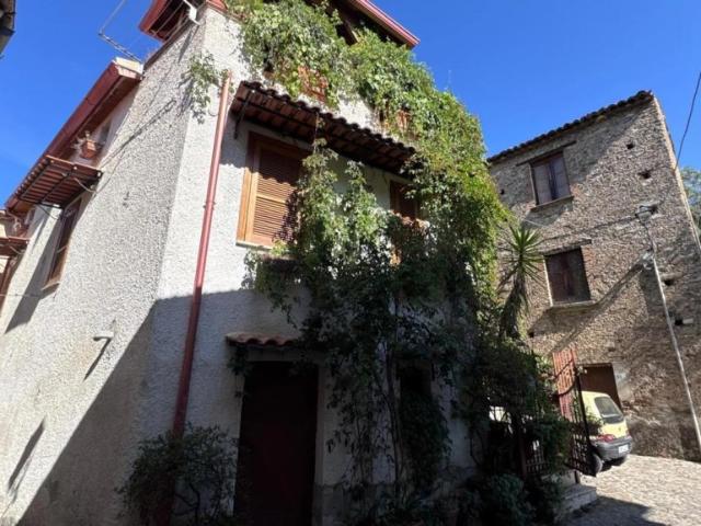 Villa Indipendente in vendita a Trenta, Calabria