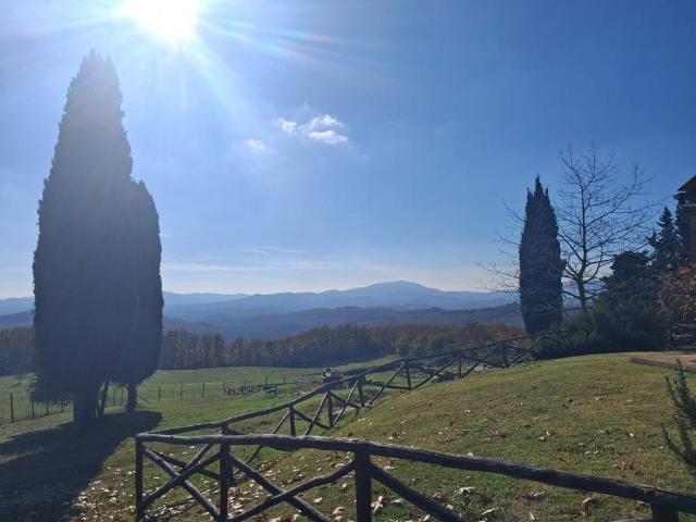 Villa Indipendente in vendita a Casole D'elsa, Toscana