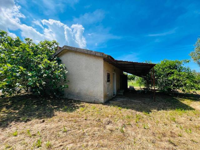 Villa Indipendente in vendita a Bolgheri, Toscana