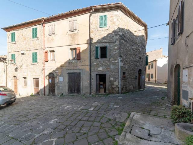 Villa Indipendente in vendita a Unione dei Comuni Montani Amiata Grossetana, Castel Del Piano