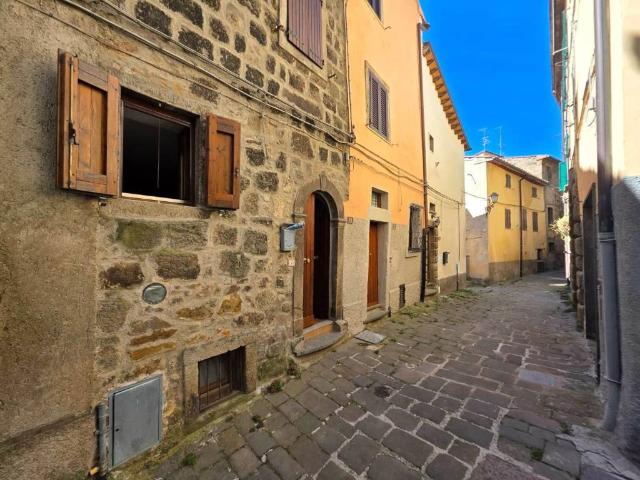 Villa Indipendente in vendita a Unione dei Comuni Montani Amiata Grossetana, Castel Del Piano