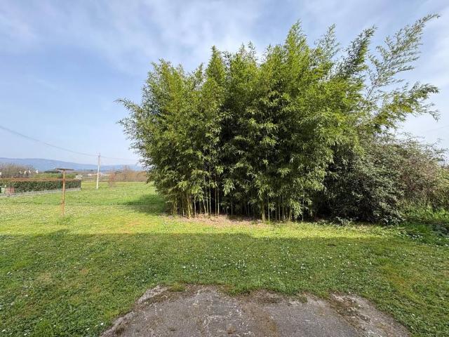 Villa Indipendente in vendita a Castelfranco Di Sotto, Toscana