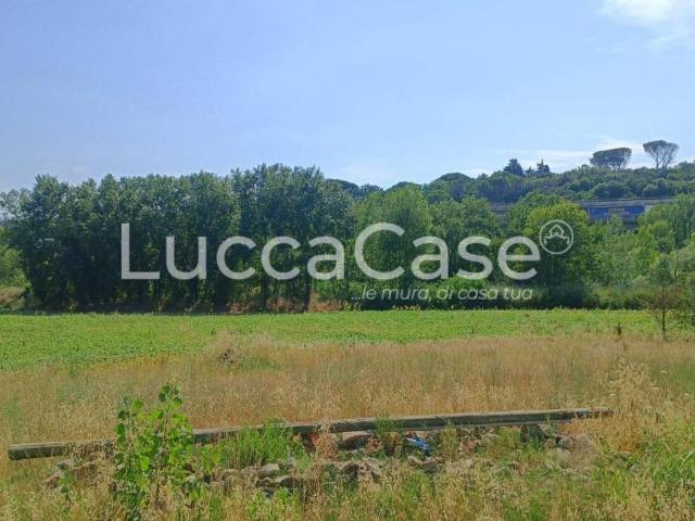 Villa Indipendente in vendita a Castellina Marittima, Toscana