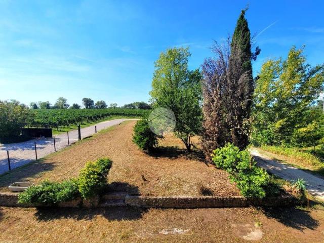 Villa Indipendente in vendita a Cavalcaselle, Castelnuovo del Garda