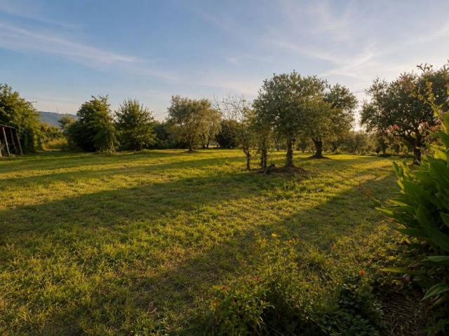 Villa Indipendente in vendita a Palvotrisia, Castelnuovo Magra