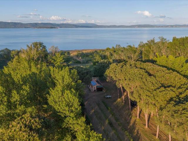 Villa Indipendente in vendita a Gioiella, Umbria