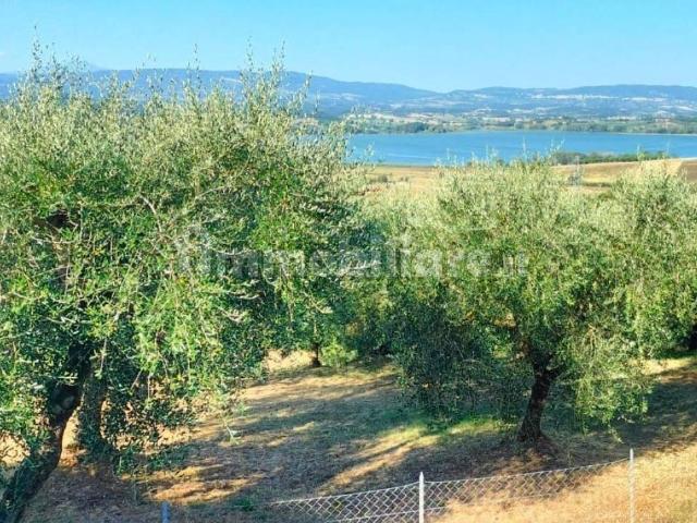 Villa Indipendente in vendita a Vaiano, Gioiella
