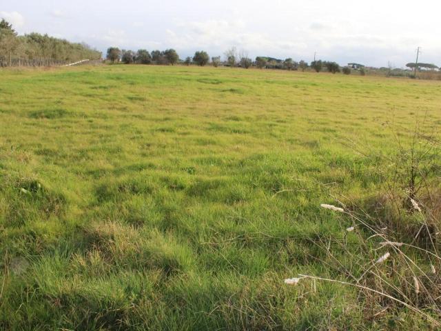 Villa Indipendente in vendita a Cecina, Toscana