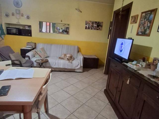 Villa Indipendente in vendita a Cerano, Novara