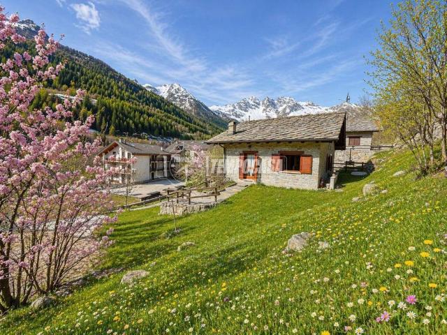 Villa Indipendente in vendita a Piemonte, Torino