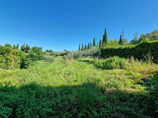 Villa Indipendente in vendita a Unione dei Comuni Circondario dell'Empolese Valdelsa, Lucardo