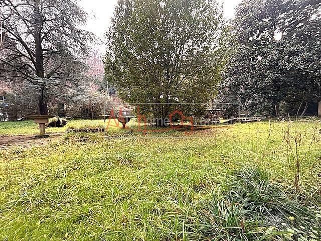 Villa Indipendente in vendita a Cervarese Santa Croce, Veneto