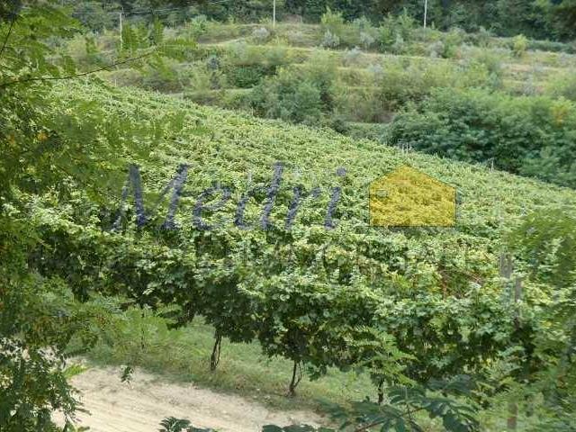 Villa Indipendente in vendita a Unione dei comuni Valle del Savio, Cesenà