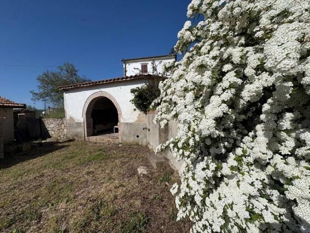 Villa Indipendente in vendita a Sassi Bianchi, Chianni