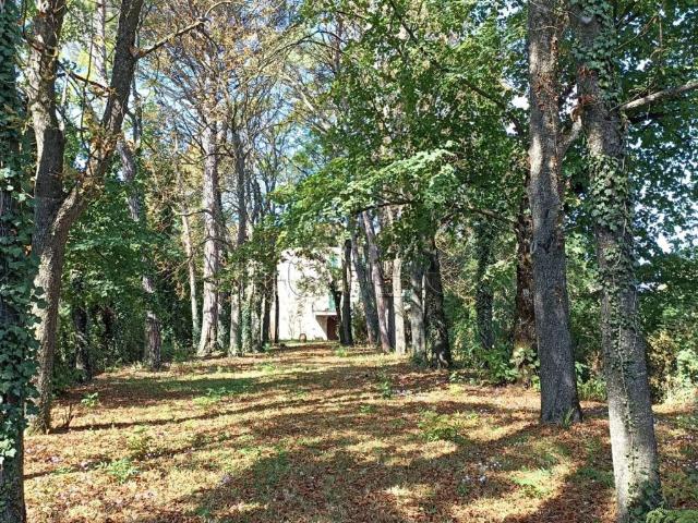 Villa Indipendente in vendita a Riosecco, San Leo Bastia