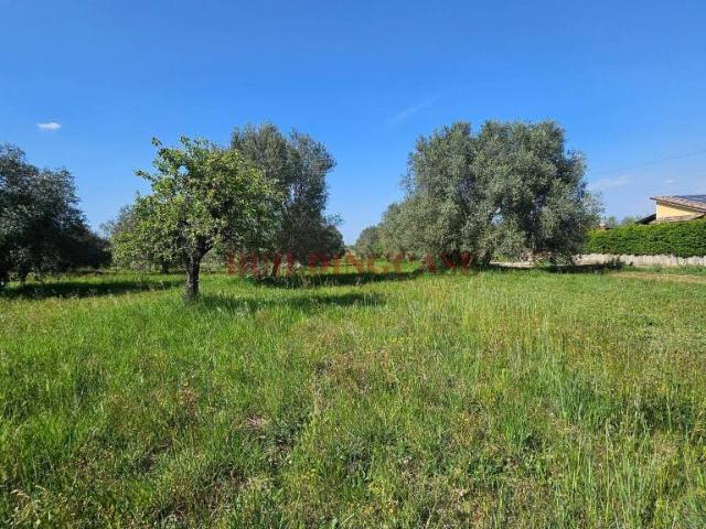 Villa Indipendente in vendita a Civita Castellana, Lazio