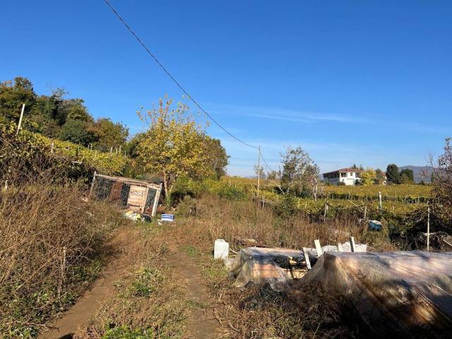 Villa Indipendente in vendita a San Vittore, Colognola Ai Colli