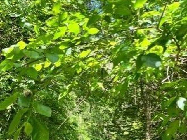 Villa Indipendente in vendita a Comunità montana della valle Trompia, Concesio