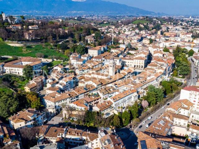 Villa Indipendente in vendita a Monticella, Conegliano