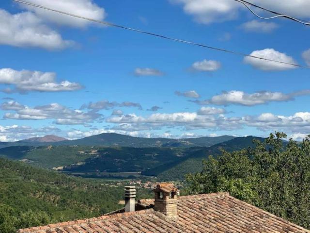 Villa Indipendente in vendita a Cortona, Toscana