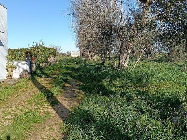 Villa Indipendente in vendita a Puglia, Lecce