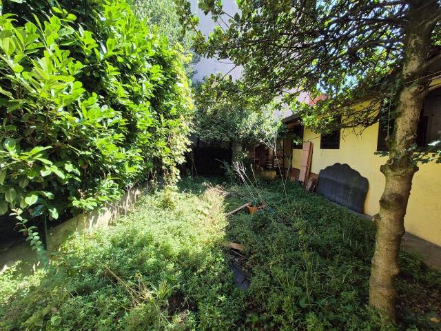 Villa Indipendente in vendita a Ex Gavazzi, Desio