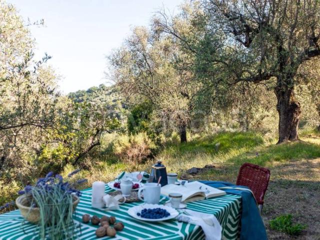 Villa Indipendente in vendita a Dolceacqua, Liguria
