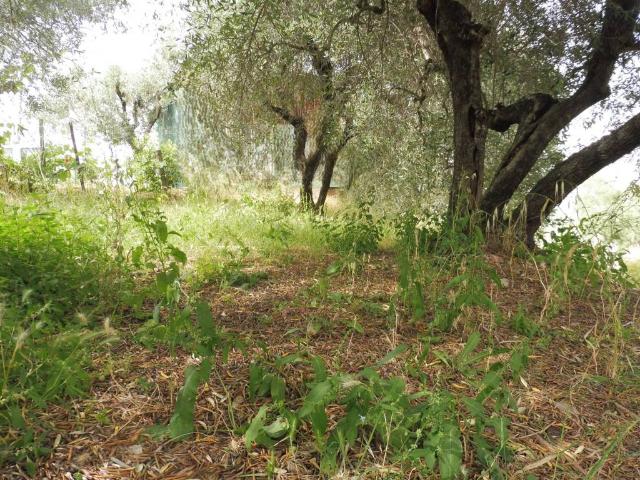 Villa Indipendente in vendita a Unione dei Comuni Circondario dell'Empolese Valdelsa, Empoli