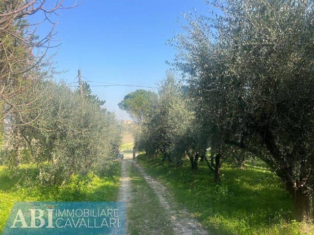 Villa Indipendente in vendita a Unione della Romagna Faentina, Faenza
