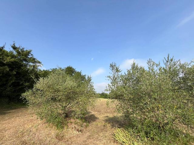 Villa Indipendente in vendita a Unione della Romagna Faentina, Faenza