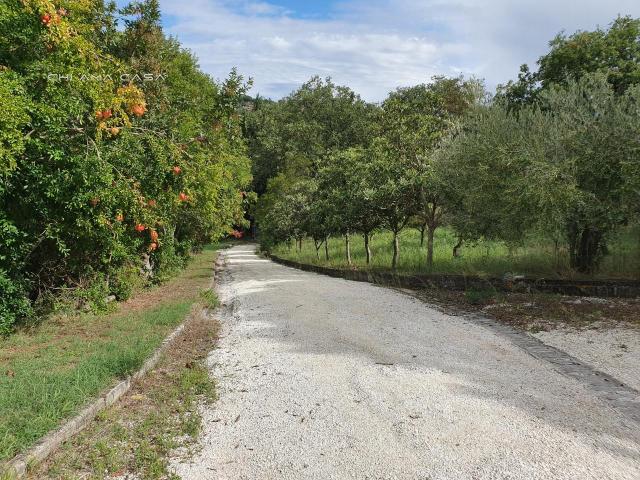 Villa Indipendente in vendita a Marche, Pesaro E Urbino