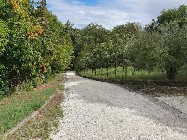 Villa Indipendente in vendita a Marche, Pesaro E Urbino