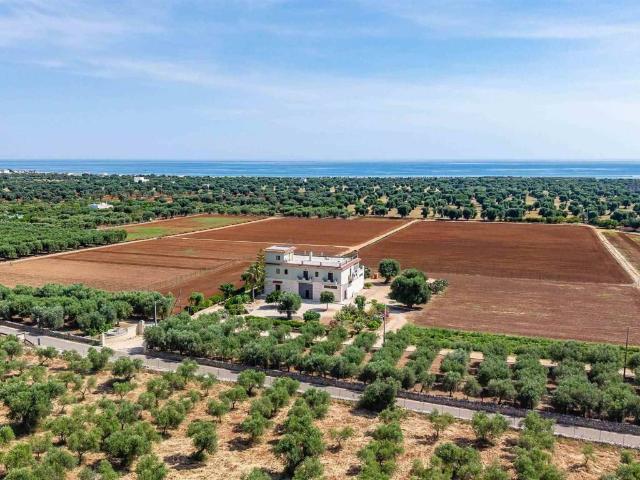 Villa Indipendente in vendita a Savelletri, Puglia