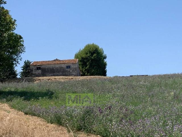 Villa Indipendente in vendita a Santa Petronilla, Marche