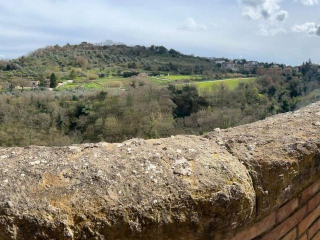 Villa Indipendente in vendita a Ficulle, Umbria