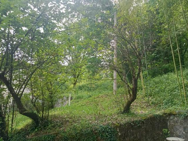 Villa Indipendente in vendita a Unione di comuni Montana Lunigiana, Fivizzano