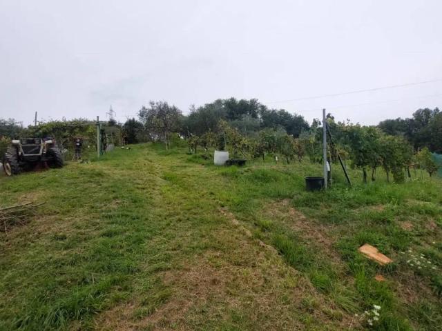 Villa Indipendente in vendita a Unione di comuni Montana Lunigiana, Fivizzano