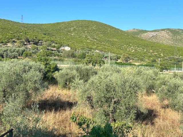 Villa Indipendente in vendita a Salto Di Fondi, Lazio