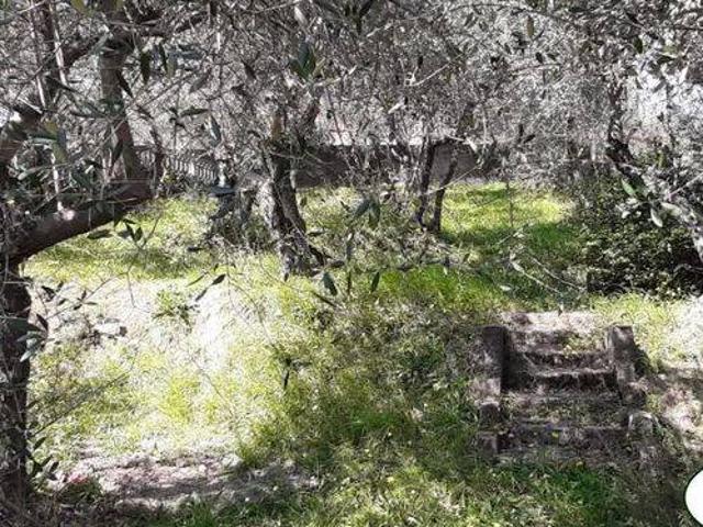 Villa Indipendente in vendita a Unione di comuni Montana Lunigiana, Fosdinovo