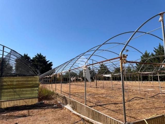 Villa Indipendente in vendita a Puglia, Brindisi