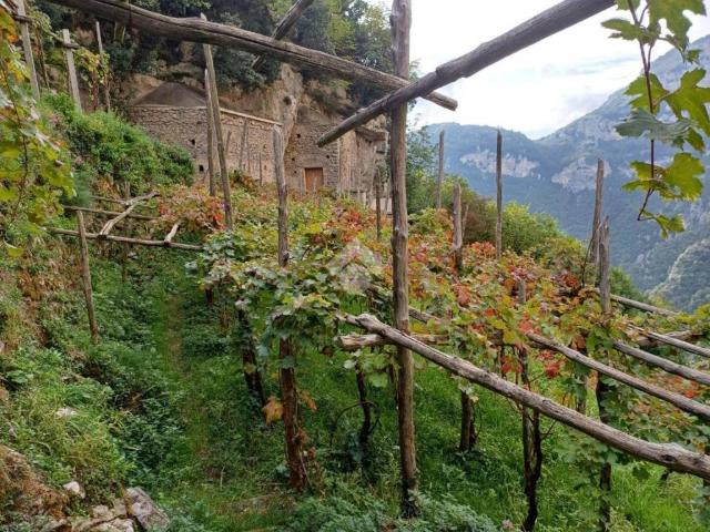 Villa Indipendente in vendita a Furore, Campania
