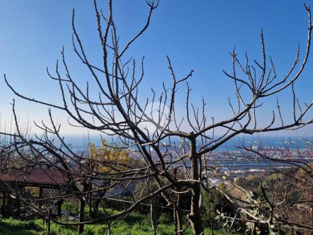Villa Indipendente in vendita a Ponente, Serra Riccò