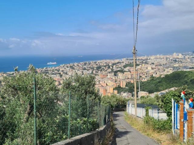 Villa Indipendente in vendita a Levante, Serra Riccò