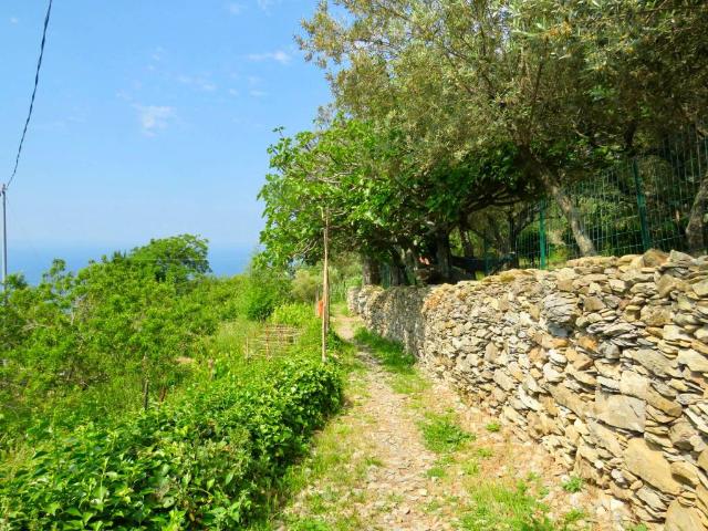 Villa Indipendente in vendita a Levante, Serra Riccò