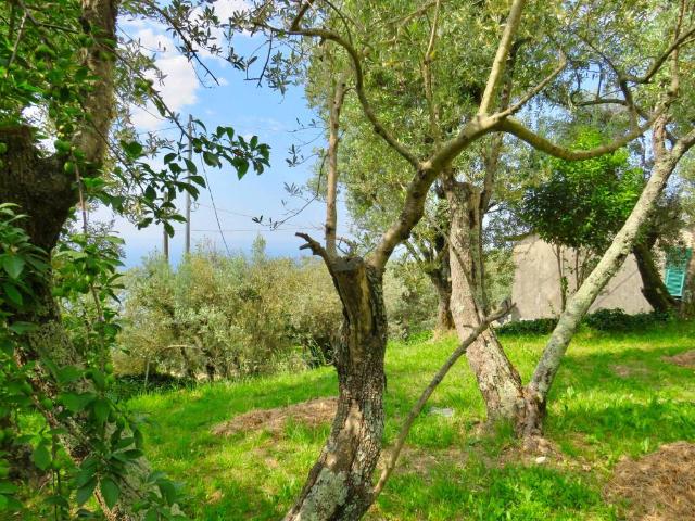 Villa Indipendente in vendita a Levante, Serra Riccò