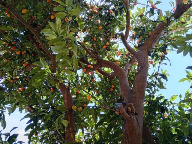 Villa Indipendente in vendita a Panigaro, Serra Riccò