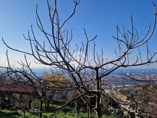 Villa Indipendente in vendita a Ponente, Serra Riccò