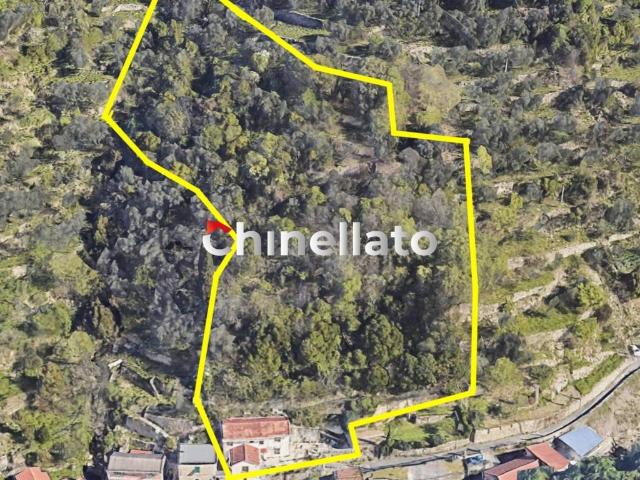 Villa Indipendente in vendita a Bassa Val Bisagno, Serra Riccò