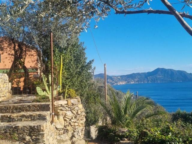 Villa Indipendente in vendita a Levante, Serra Riccò